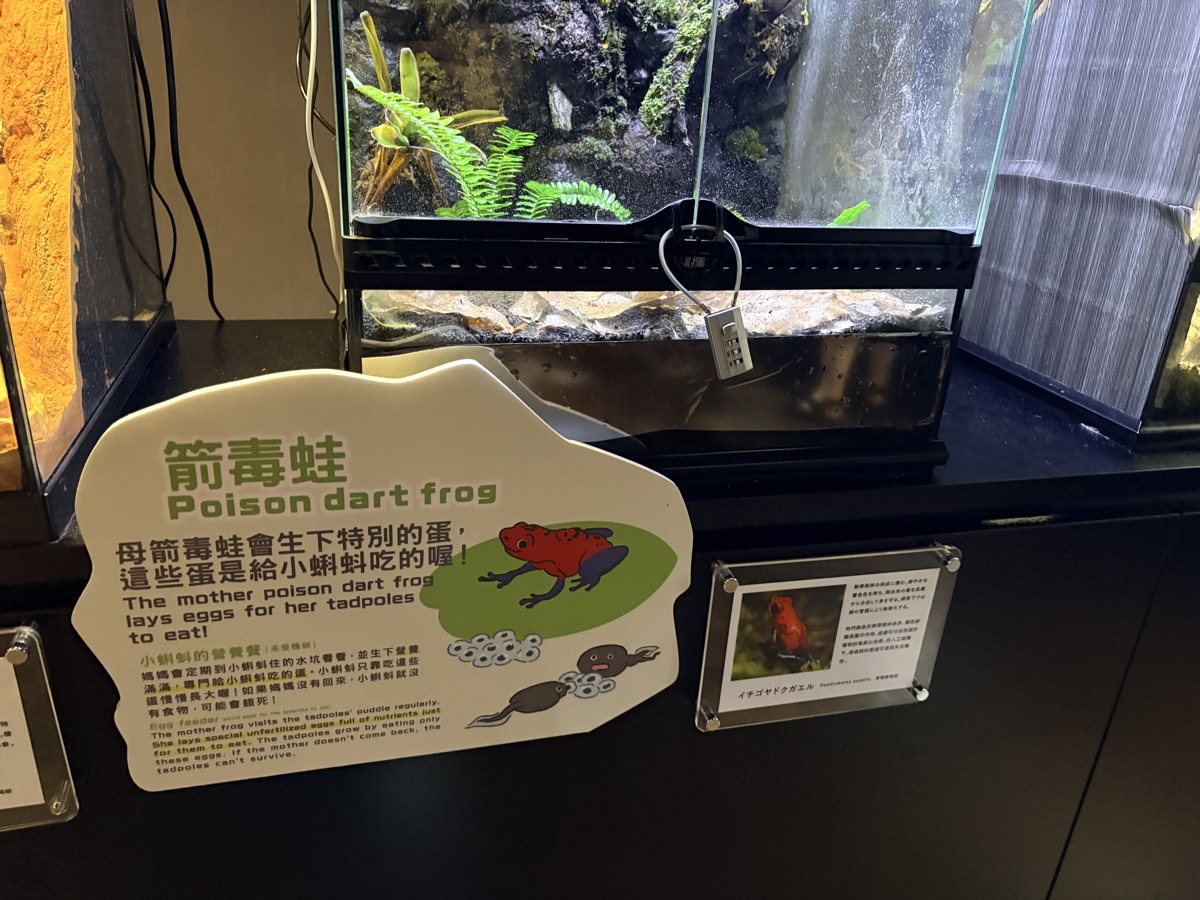 DMMかりゆし水族館