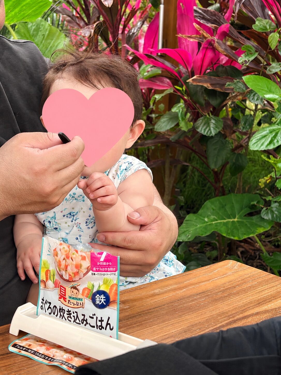 ワイルドバンケットでランチ。外席だけど風があって過ごしやすかった