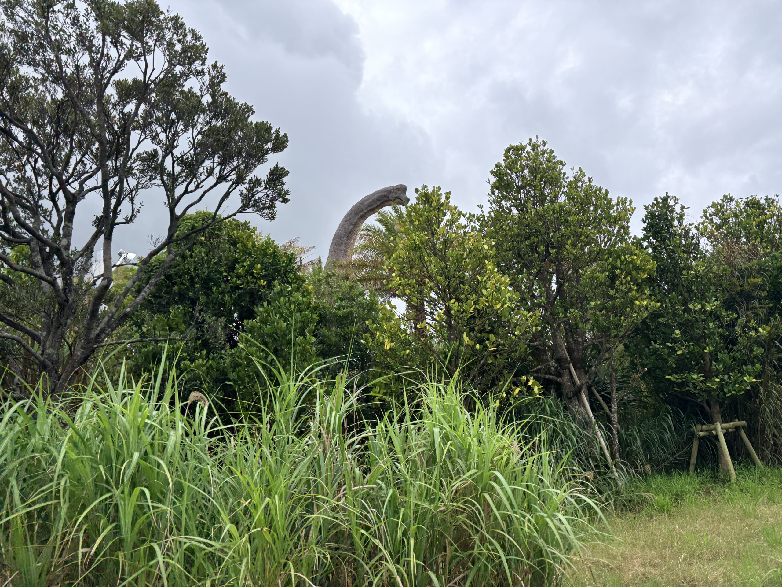 ジャングリアの広い園内の様子